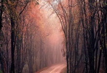 欧博官网:美女#李月汝 #李月汝生日 #中国女篮.