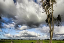 欧博官网：[CBA]常规赛12月20日：辽宁VS北京 曾凡博集锦.