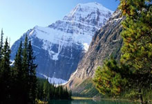 欧博官网：新加坡水上运动世锦赛吉祥物公布 SG60游泳挑战启动.