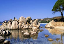 欧博官网：新加坡水上运动世锦赛吉祥物公布 SG60游泳挑战启动.